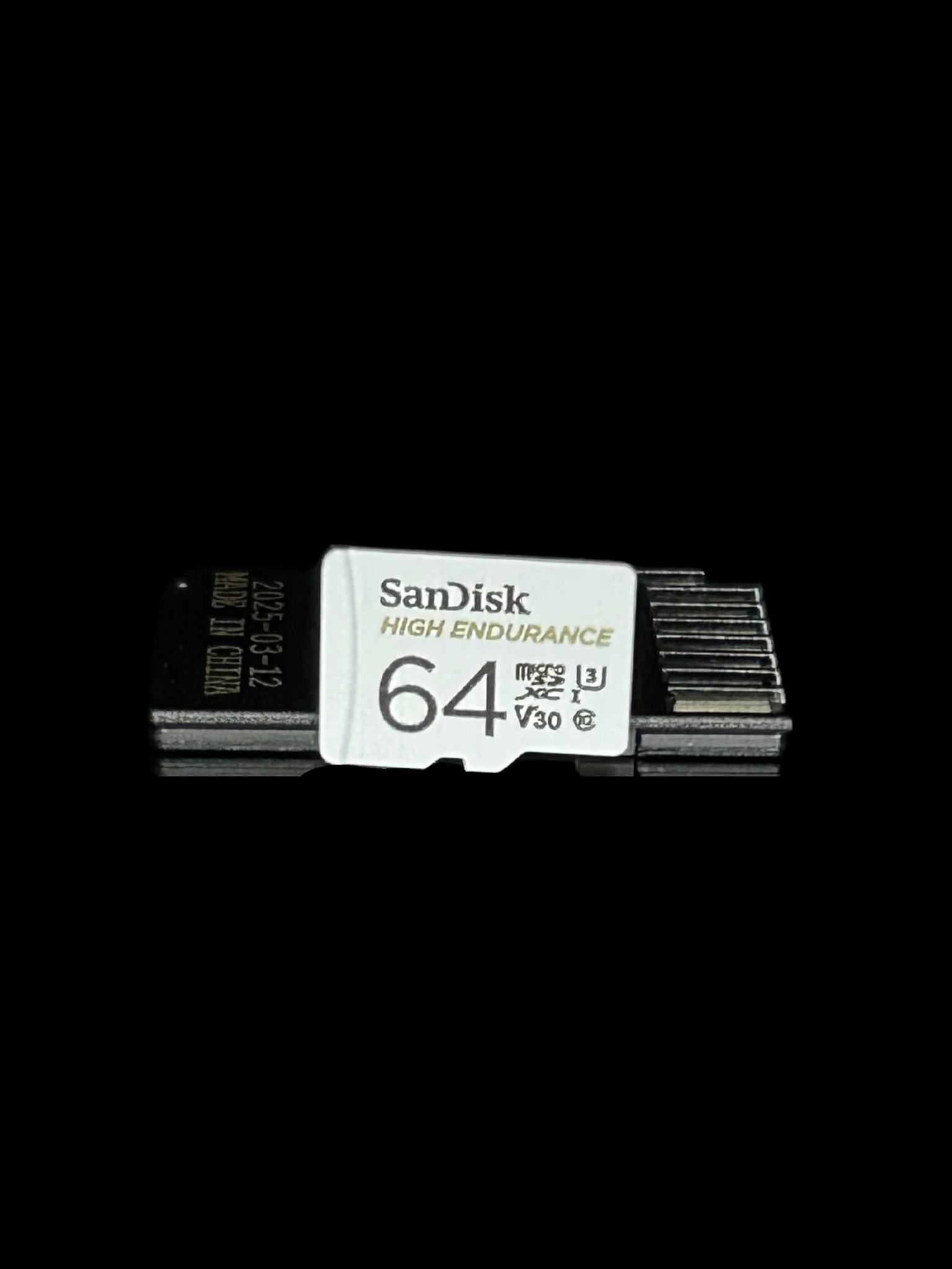 Carte microSD (SanDisk High Endurance) - Autuno